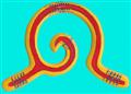 Spiral
